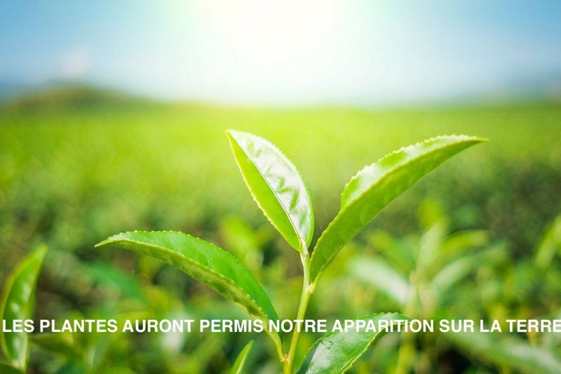 Ne détruisons pas les conditions d’habitabilité de notre Terre (partie 1)